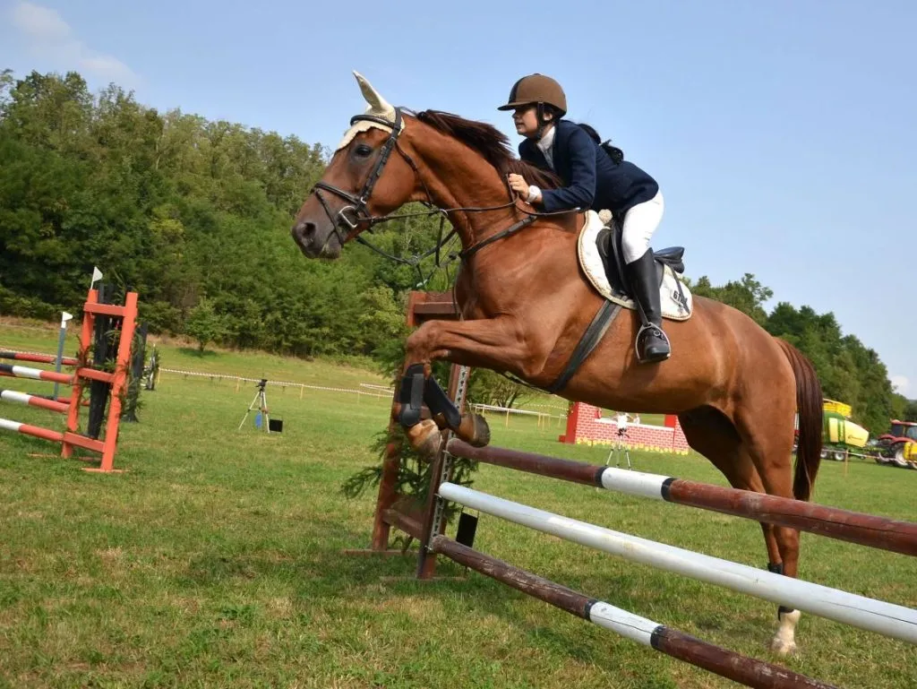 Modern Static Architecture