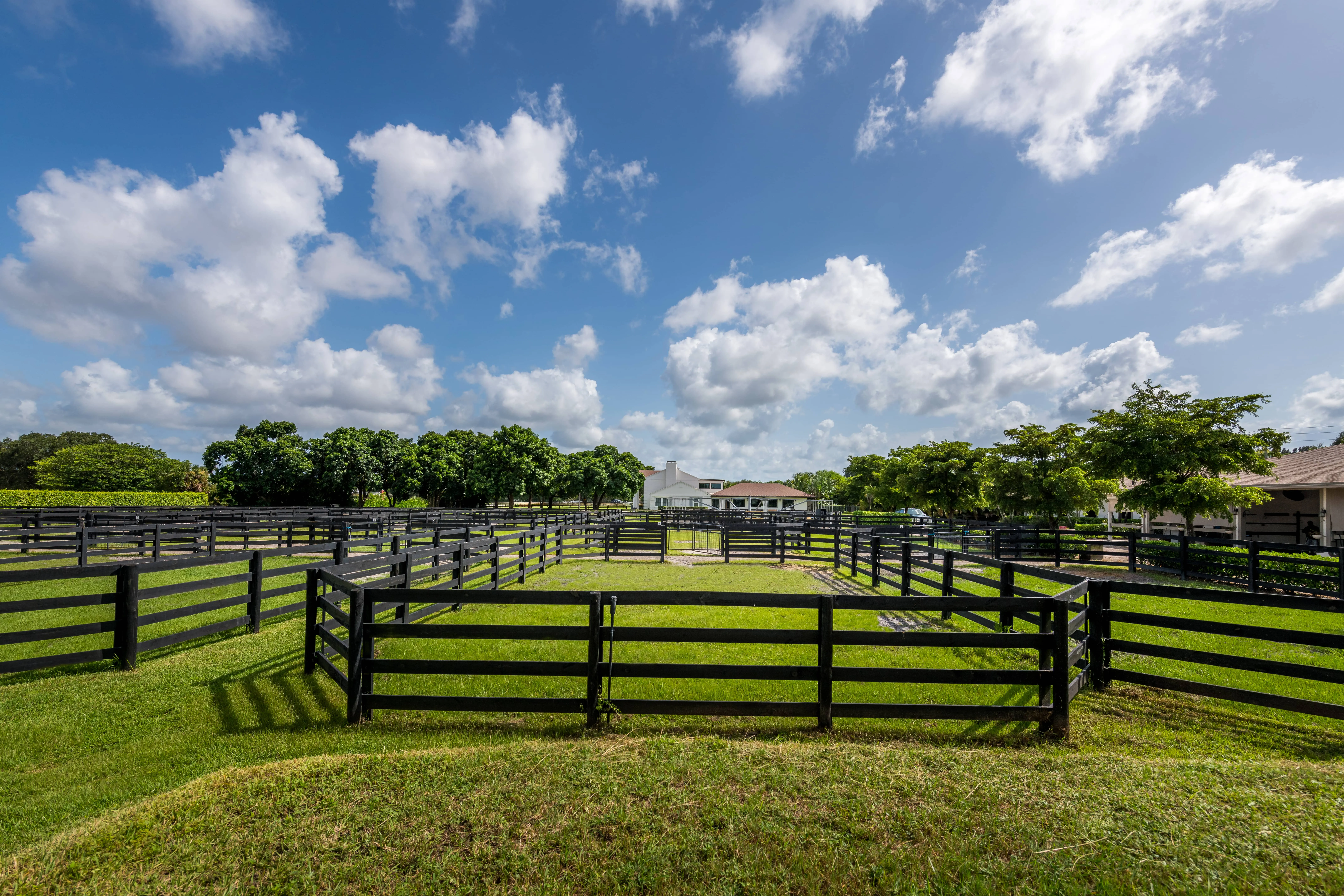Paddocks at IDA Farm