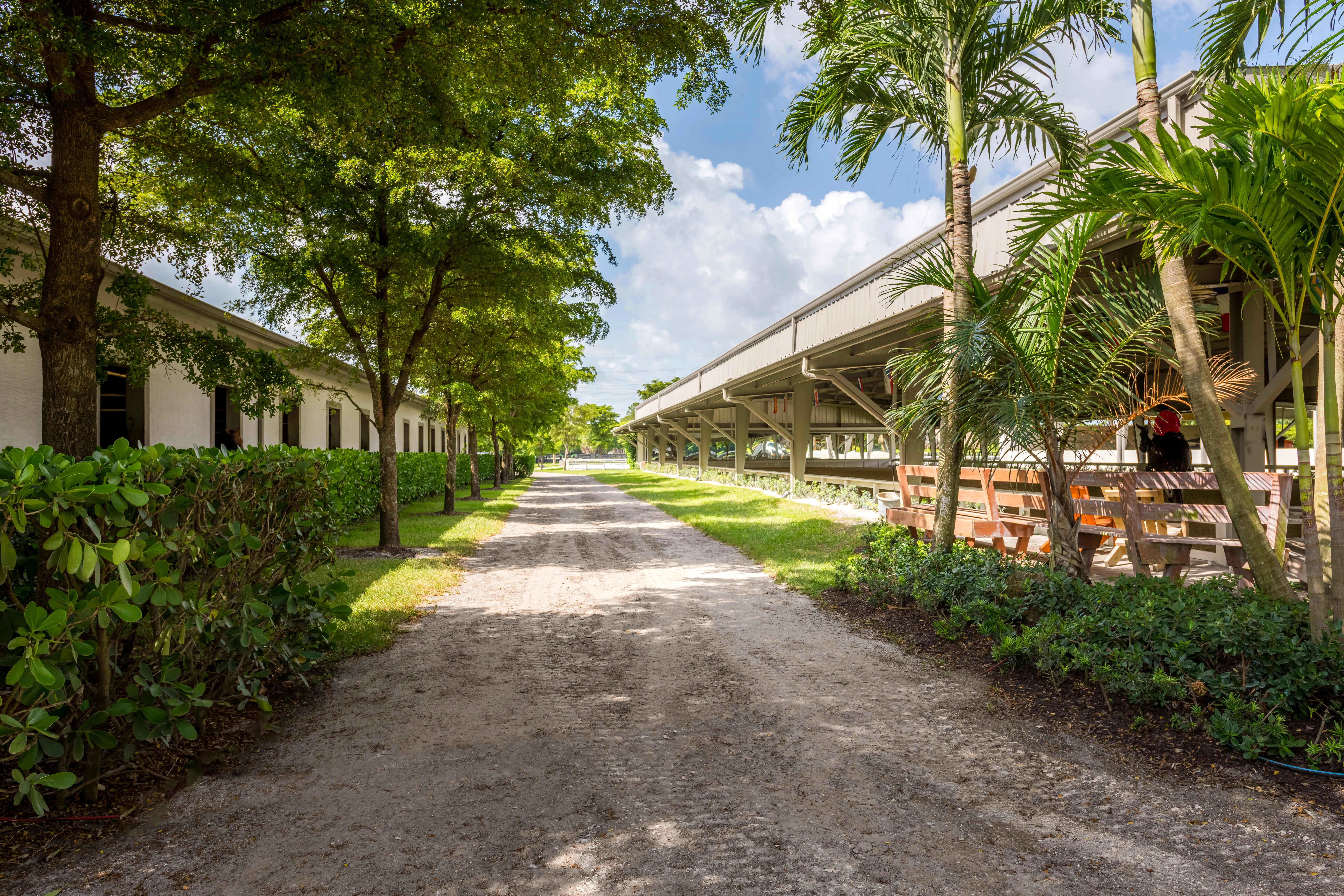 Pathway at IDA Farm