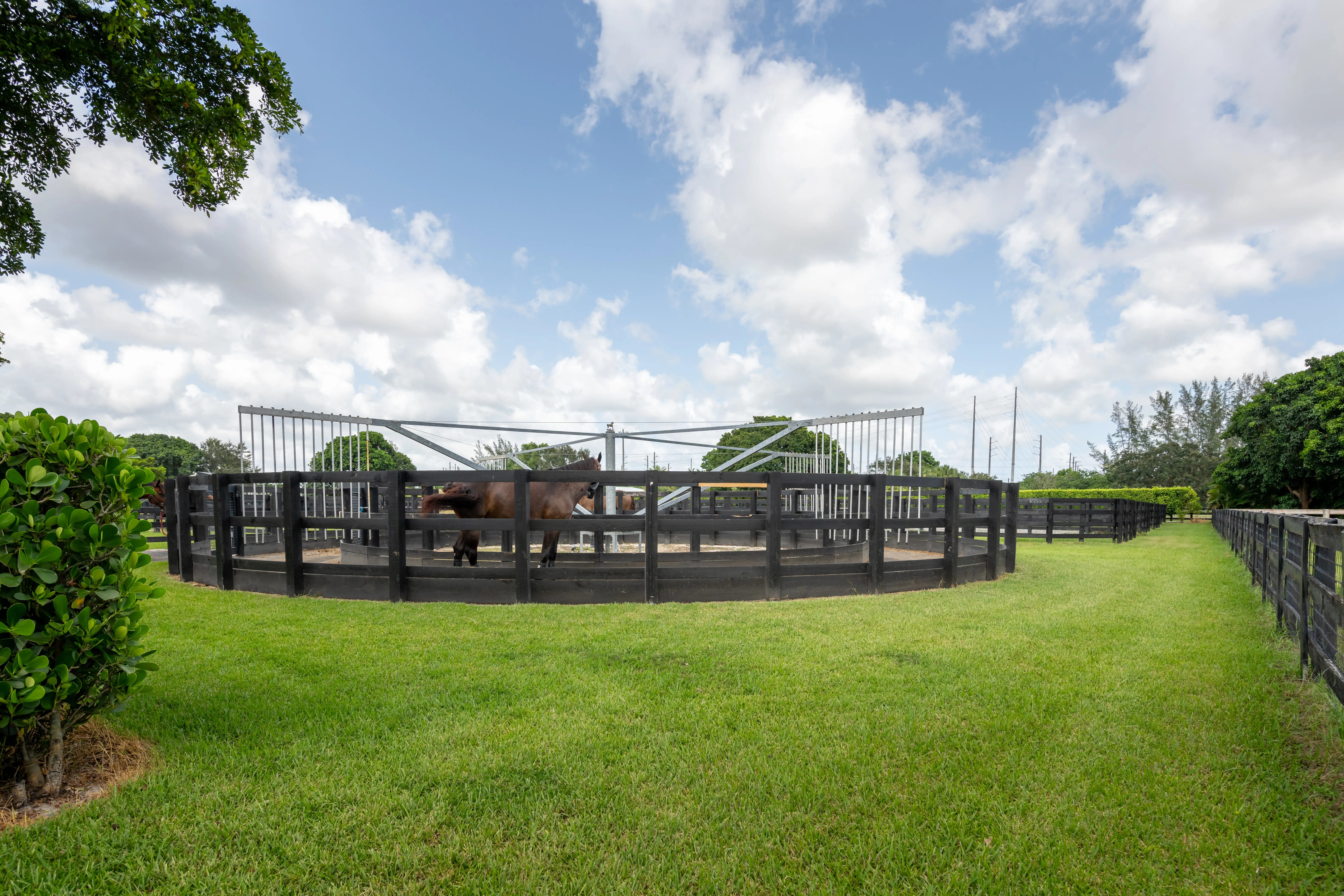 Horse walker at IDA Farm