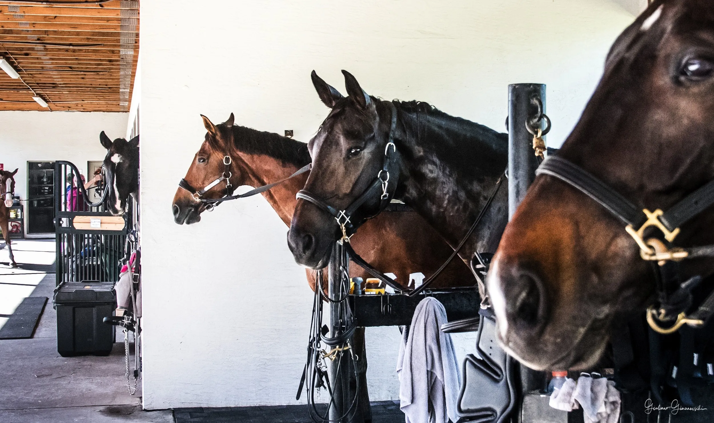 Wash bays at IDA Farm
